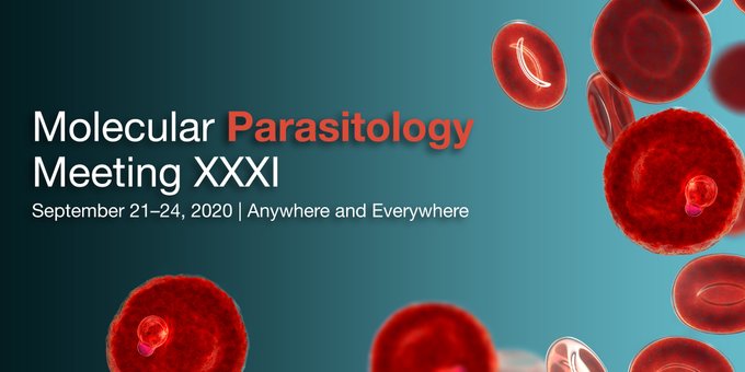 Molecular Parasitology Meeting XXXI