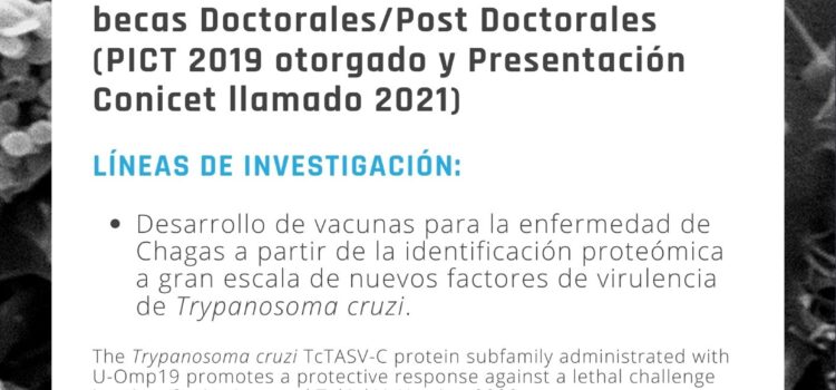 Becas Doctorales/Post Doctorales – Univ. San Martín.